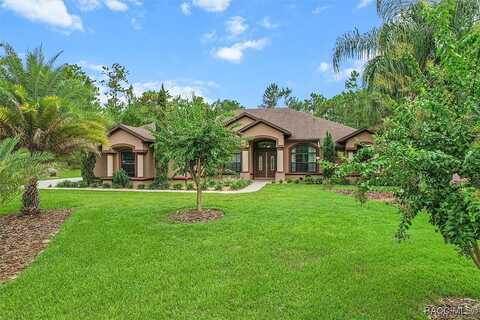 Malaluka, CITRUS SPRINGS, FL 34433