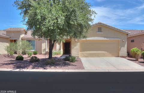 Lemon Drop, MARICOPA, AZ 85138