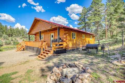 Hurt, PAGOSA SPRINGS, CO 81147