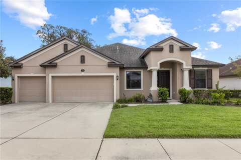 Challice, SPRING HILL, FL 34609