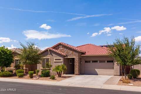 Desert Broom, CHANDLER, AZ 85286