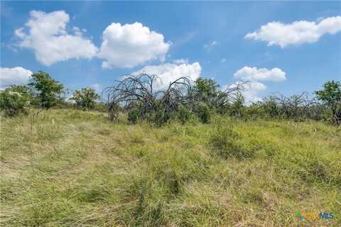 Tbd Koehler, Santa Clara, TX 78124