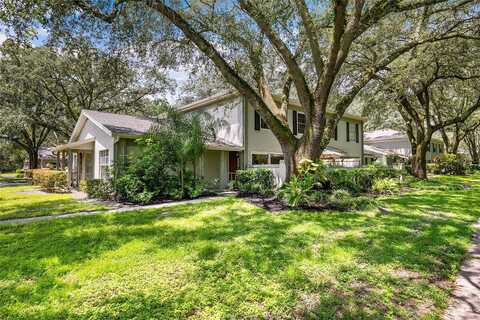 Treetop, TEMPLE TERRACE, FL 33617