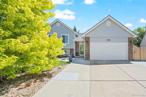 Andes, AURORA, CO 80013