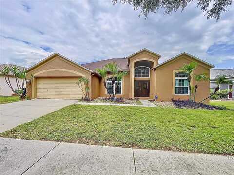 Amber Ridge, VALRICO, FL 33594