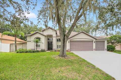 Canter, VALRICO, FL 33596