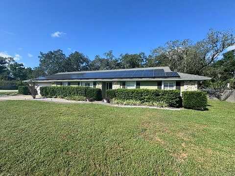 Hornbeam, LONGWOOD, FL 32779