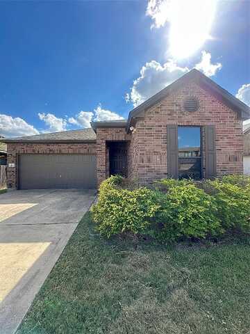 Oaklynn, MANOR, TX 78653