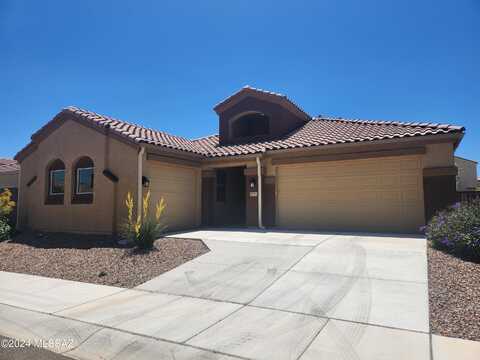 Lone Cougar, MARANA, AZ 85653