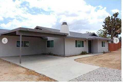 Condalia, YUCCA VALLEY, CA 92284