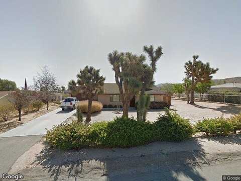 Condalia, YUCCA VALLEY, CA 92284