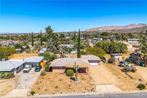 Condalia, YUCCA VALLEY, CA 92284