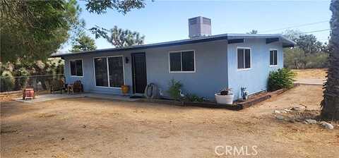 Condalia, YUCCA VALLEY, CA 92284