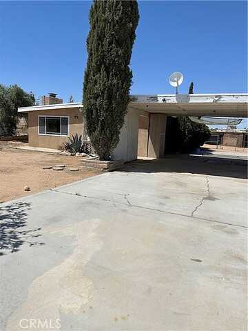 Tracy, YUCCA VALLEY, CA 92284