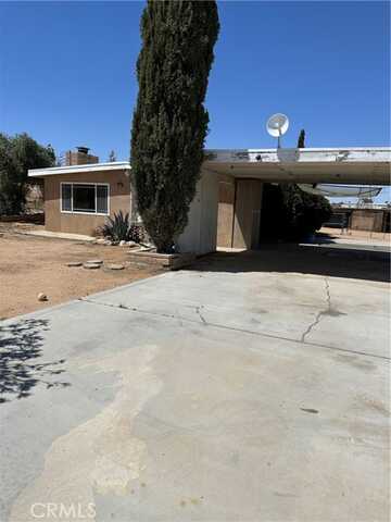 Tracy, YUCCA VALLEY, CA 92284