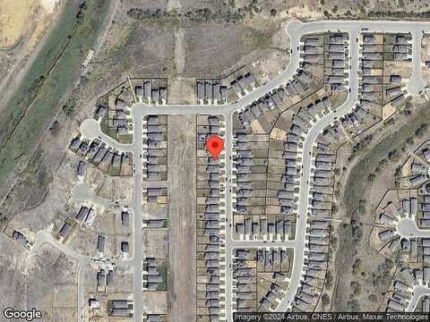 Wild Olive, SAN ANTONIO, TX 78219