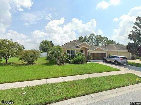 Sea Holly, BROOKSVILLE, FL 34604