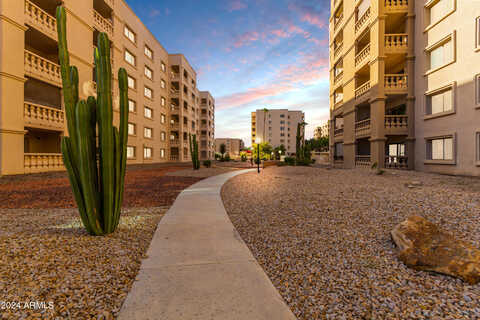 Camelback, SCOTTSDALE, AZ 85251