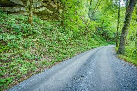 141 Acre Tumbling Creek Rd, Saltville, VA 24370