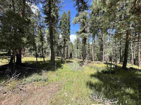 Lot 10 Alpine Lake Terrace, Angel Fire, NM 87710