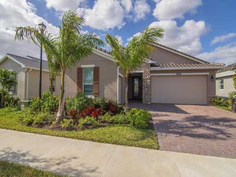 Ligustrum, PORT SAINT LUCIE, FL 34987