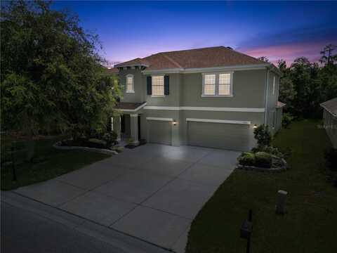 Creedmoor, NEW PORT RICHEY, FL 34654