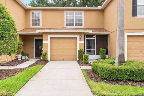 Silver Falls, LAND O LAKES, FL 34639