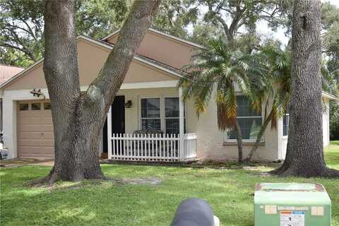 Bellingham, PALM HARBOR, FL 34684