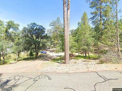 Nugget, FORESTHILL, CA 95631