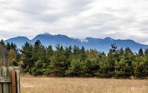 Osborn, PORT ANGELES, WA 98362