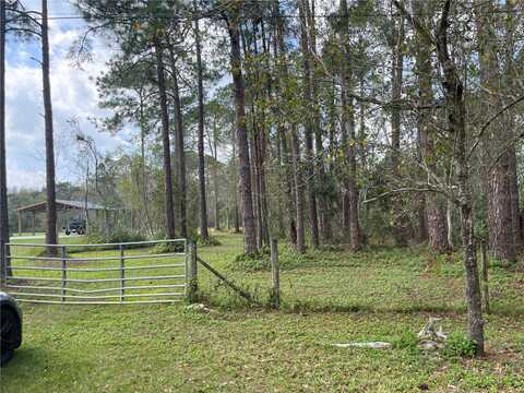 Lakeside, LUTZ, FL 33558