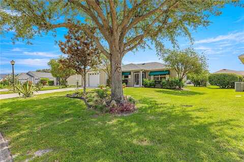 Hollyberry, THE VILLAGES, FL 32162