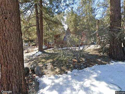 Buckthorn, Wrightwood, CA 88888