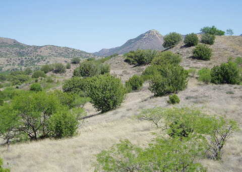 Side Oats Lane, Patagonia, AZ 85624