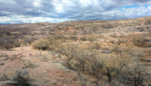 Camino Los Vientos, Patagonia, AZ 85624