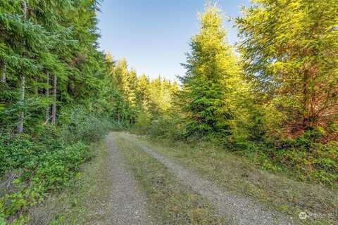 Dell Creek Mainline Road, Naselle, WA 98638