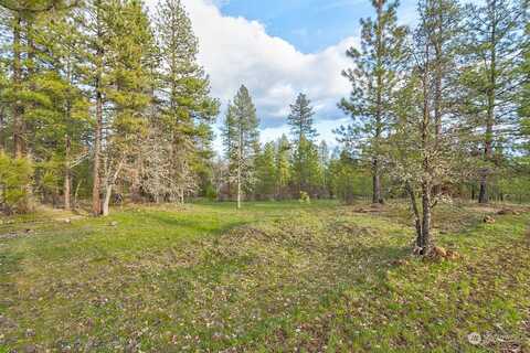 Greyback Mt Road, Goldendale, WA 98620