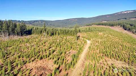 Ne Jones Creek Road, Camas, WA 98607