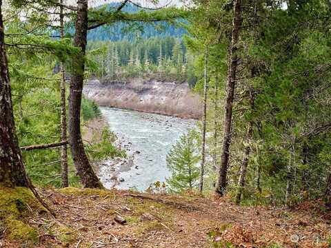 Lahar Lane, Cougar, WA 98616