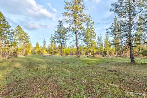 Greyback Mt Road, Goldendale, WA 98620