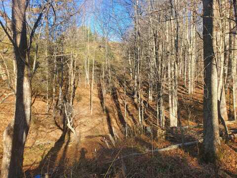 00 Miller Hollow Road, Roan Mountain, TN 37687