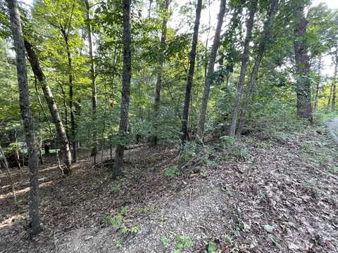 146 Cloudland Drive, Bristol, TN 37620