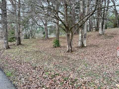 Lot 2 Virginia St, LIVINGSTON, TN 38570