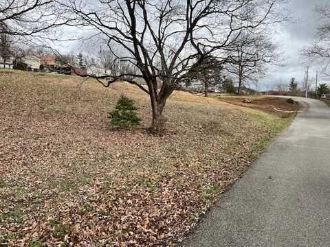 Lot 3 Virginia St, LIVINGSTON, TN 38570