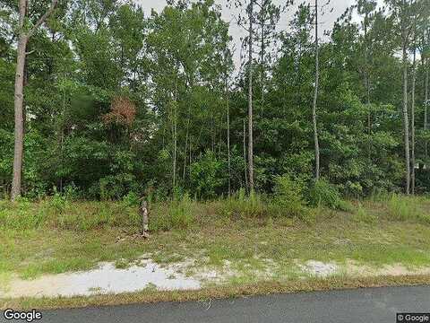 Datura, CITRUS SPRINGS, FL 34434