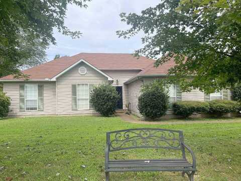 Dawson, JACKSON, TN 38305