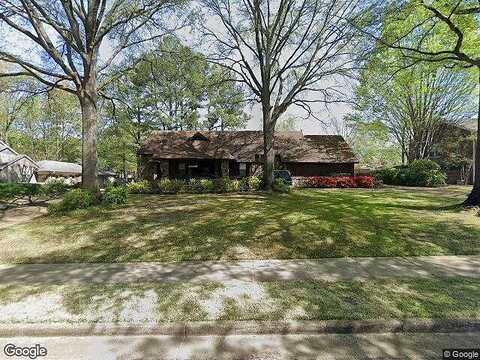 Silver Maple, MEMPHIS, TN 38119