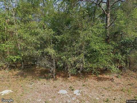Almont, CITRUS SPRINGS, FL 34434