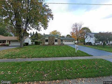 Sugar Maple, ROCHESTER, NY 14615