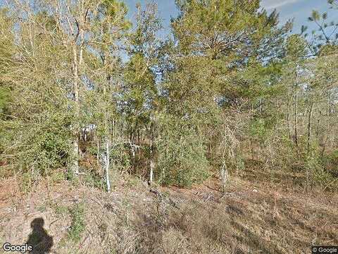 123Rd, WILLISTON, FL 32696